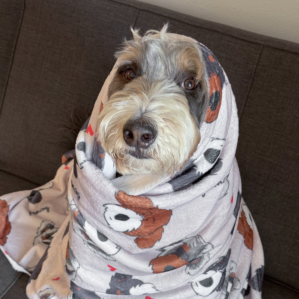 Doodle Squad Fleece Blanket