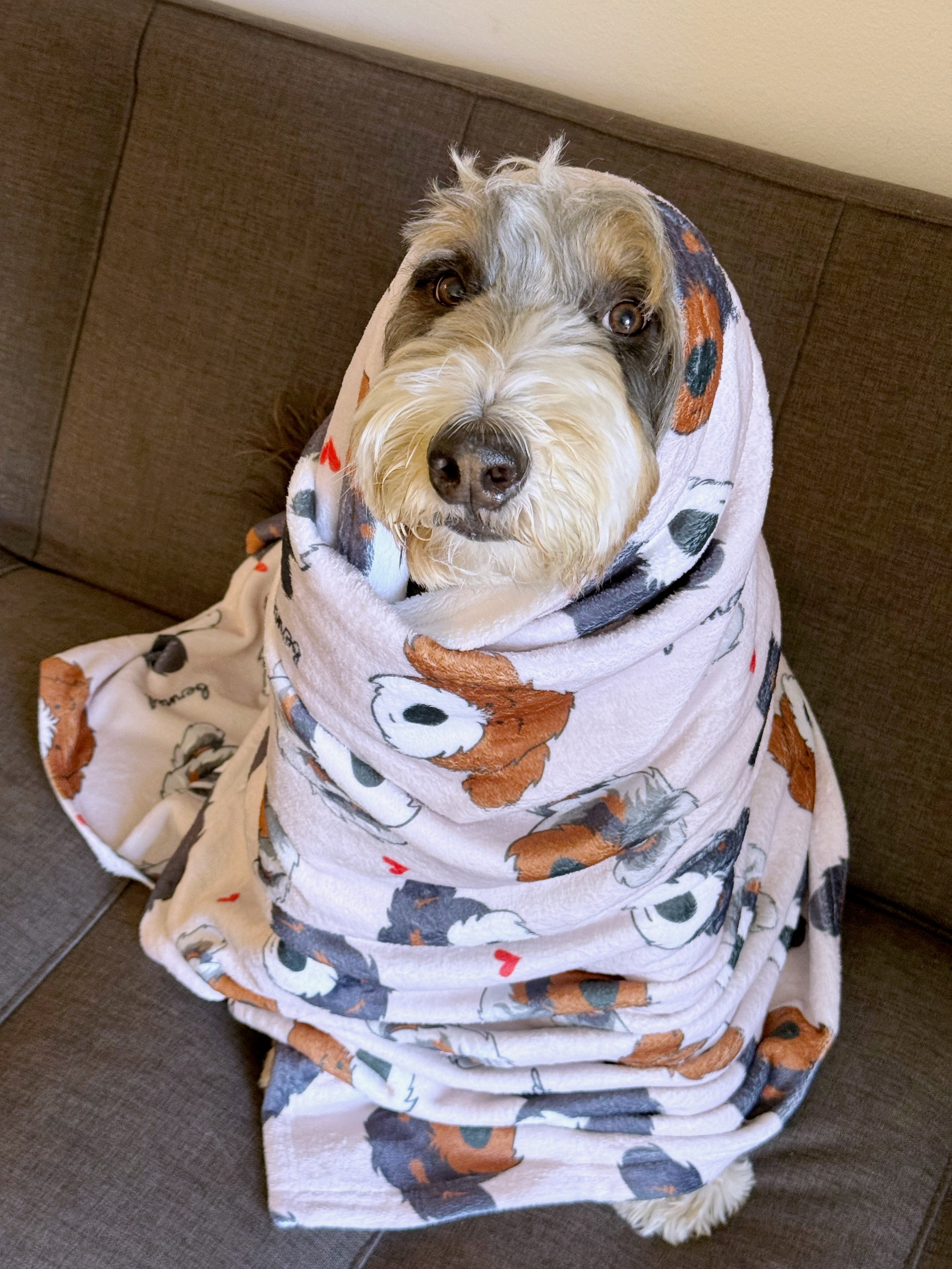 Garby showing off his favorite blanket