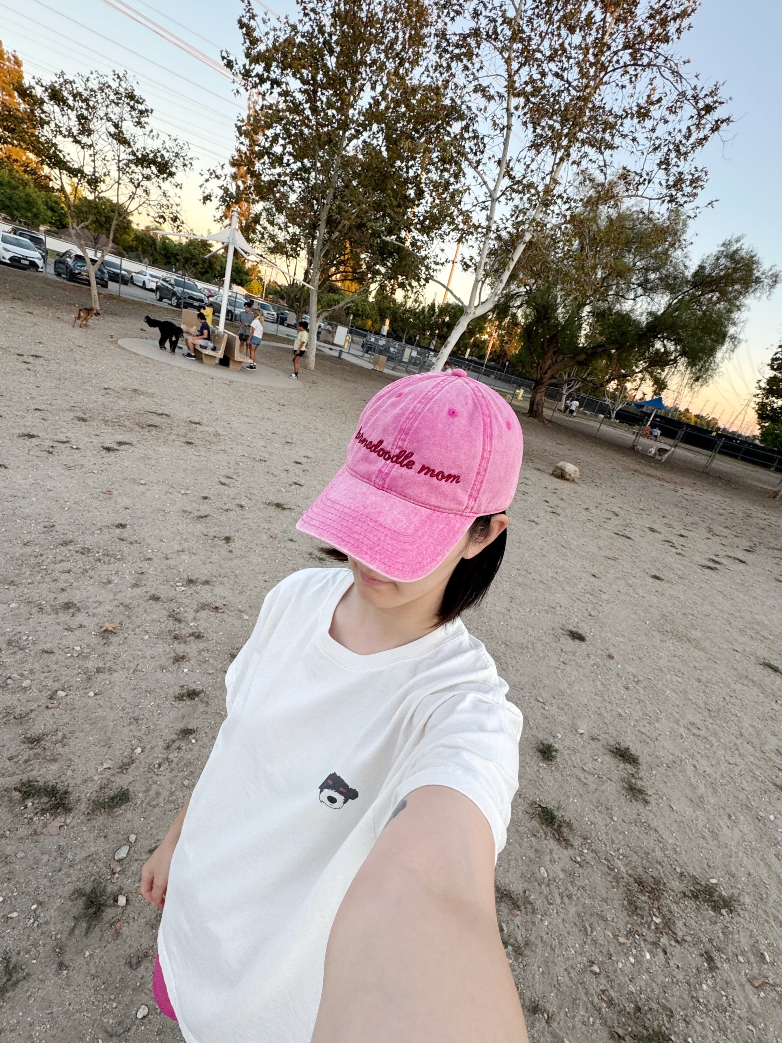 Bernedoodle mom essentials